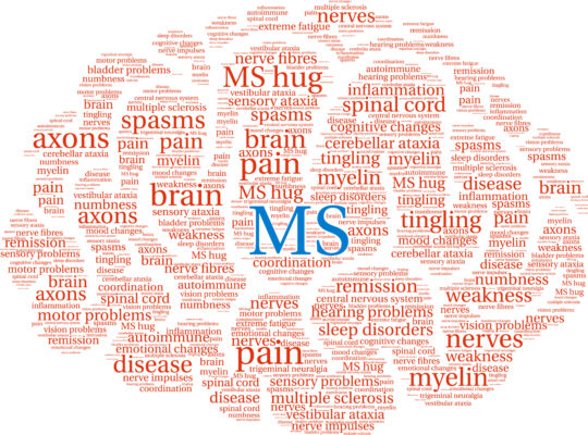 Multidisciplinaire raadpleging op maat voor MS-patiënten
